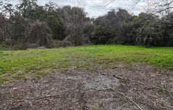 215 Davis Drive, Niceville, FL 32578
