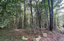 Lot 45 + Gardner Road, Newfoundland, PA 18445