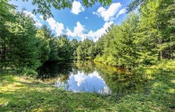 N1056 County Highway J, Neillsville, WI 54456