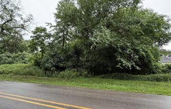 7594 Brickyard Road, Holton, MI 49425