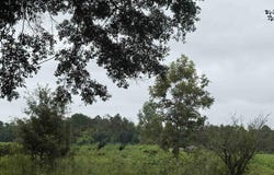 3308 Deloach Ln, Milton, FL 32570