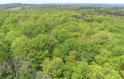 Lot 15.1 Ward Loomis Road, Oxford, NY 13830
