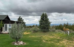 641 ANTELOPE GAP RD, Wheatland, WY 82201