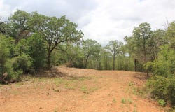 107 Kalihi CT, Bastrop, TX 78602