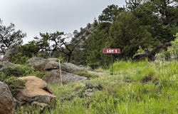 151 Curry Dr, Estes Park, CO 80517