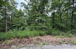 Rori  LN, Bella Vista, AR 72715