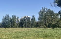 Mt. Adams HWY, Glenwood, WA 98619