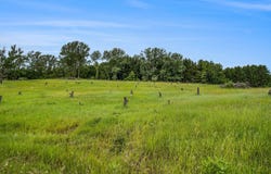 6.24 Acres W Tyler Road, Mears, MI 49436