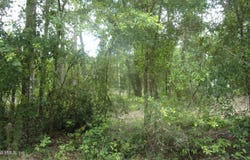 141 CROSBY Road, Florahome, FL 32140