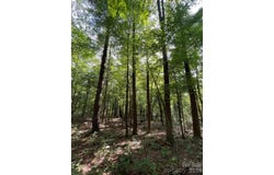 Haverhill Court lot: 20, Flat Rock, NC 28731