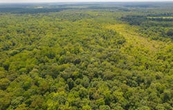 17630 Highway 64, Bolivar, TN 38008