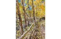 Sourdough Road, Bozeman, MT 59715