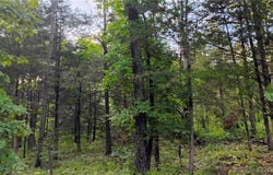0 Airport Road, Iberia, MO 65486