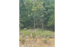 Lot 673 Chimney Rock Rd, New Tazewell, TN 37825