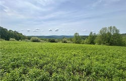 Sisson Hill Rd, Unadilla, NY 13849