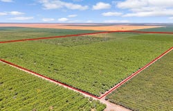 15110 Avenue 7, Madera, CA 93637