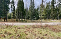 Nhn Big Fir Drive, Thompson Falls, MT 59873
