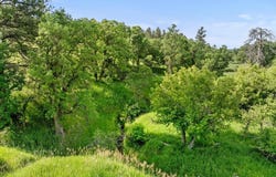 Tract 6 Lone Elk Ranch, Alva, WY 82711