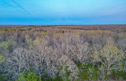 1148 N Mt Pleasant Road, Whiteville, TN 38075