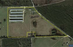 1251 Bardin Rd, Palatka, FL 32177