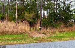 1907 BISHOPS HEAD RD, TODDVILLE, MD 21672