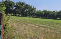 TBD Hwy 86, Loma Linda, MO 64804