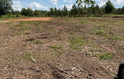 3575 Centenary Rd, LUVERNE, AL 36049