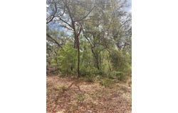 JUNIPER STREET, LADY LAKE, FL 32159