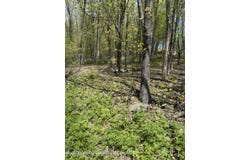 120 Floyd Ackert Road, West Park, NY 12493