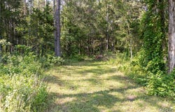 19777 Harry Drive, Licking, MO 65542
