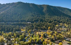 315 PINE Drive, Jackson, WY 83001