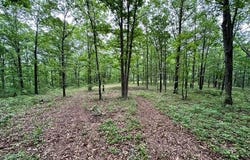 895 Ashwood Road Road, Clinton, AR 72031