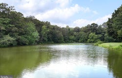 24316 AUCTION ROAD, PRESTON, MD 21655