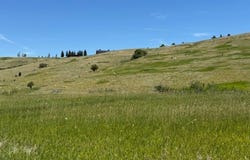 NHN Trooper Trail, Bozeman, MT 59718