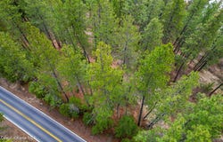 NNA S H 97, Harrison, ID 83833