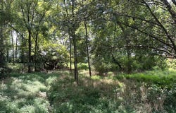 Virginia St, PARIS, TN 38242