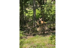 County Road 630, Gainesville, MO 65655