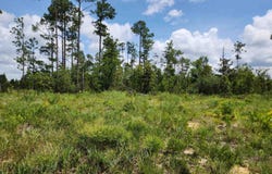 HWY 20, Other Florida, FL 32446
