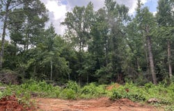 2852 Lovewood Drive, Cottondale, FL 32431
