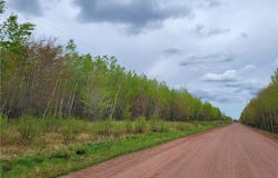 On Pufal Road, Mellen, WI 54546