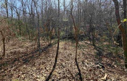 Dunfee Road, Lesage, WV 25537