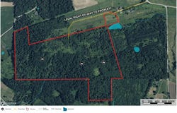 BLACK WALNUT Road, COMMODORE, PA 15729