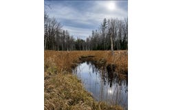 Kinstone Lane, Trenton, ME 04605