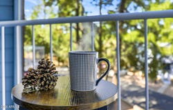 2700 S WHITE MOUNTAIN Road, Show Low, AZ 85901