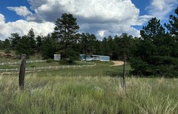 7152 Copper Gulch Road, Cotopaxi, CO 81223