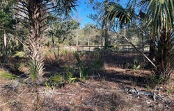 8108 N Shannon Avenue, Crystal River, FL 34428
