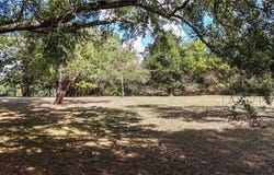 Carlton Drive, Rockmart, GA 30153