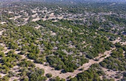 1031 Shin Oak lot: 32-3, Junction, TX 76854