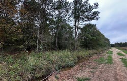 000 Bankside, Livingston, TX 77351