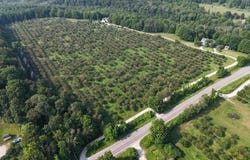 00 E Tatch Road, Northport, MI 49670